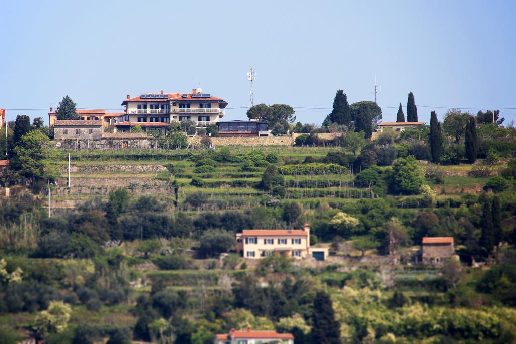 Hostel Panorama