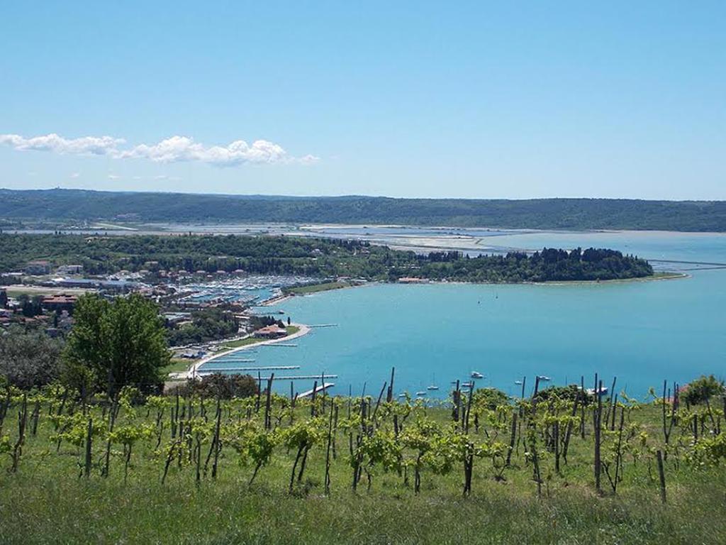 Panorama *