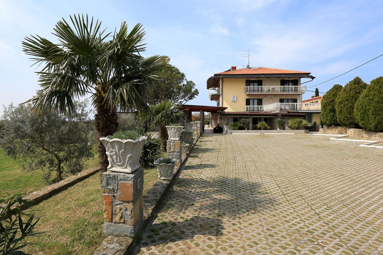 Panorama Hostel *